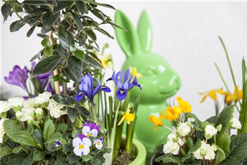 DAS GARTENPARADIES FüR OSTERHASEN