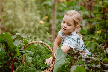 KINDER SPIELERISCH IN DIE ERNTE EINBEZIEHEN